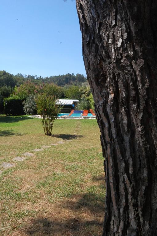 Casa Pilar Villa Capannori Dış mekan fotoğraf